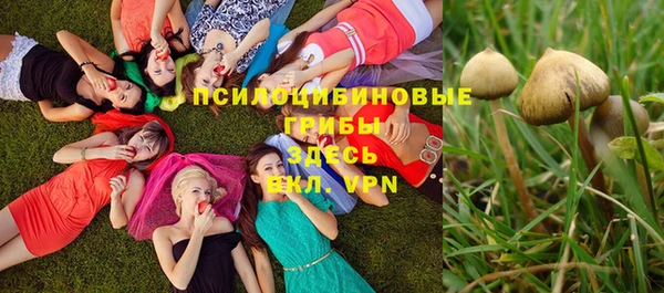молекула духа Дмитровск