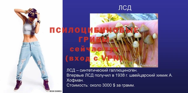 молекула духа Дмитровск