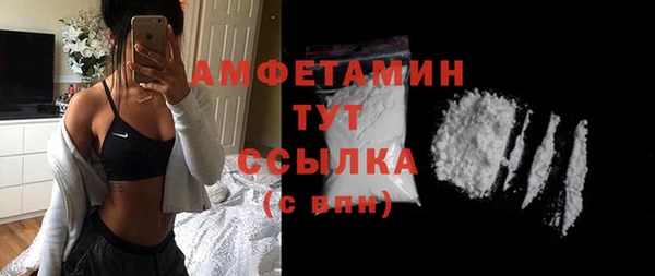 молекула духа Дмитровск
