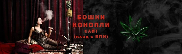 мдпв Дмитров