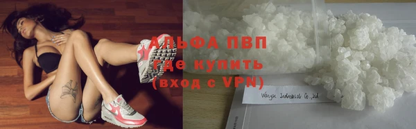 мдпв Дмитров