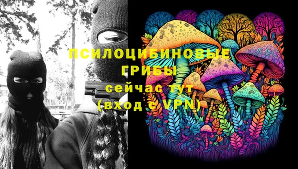 мдпв Дмитров