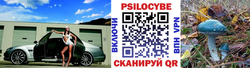 Псилоцибиновые грибы Psilocybine cubensis Купить где Тотьма